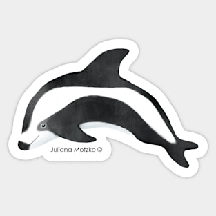 Hourglass Dolphin Sticker